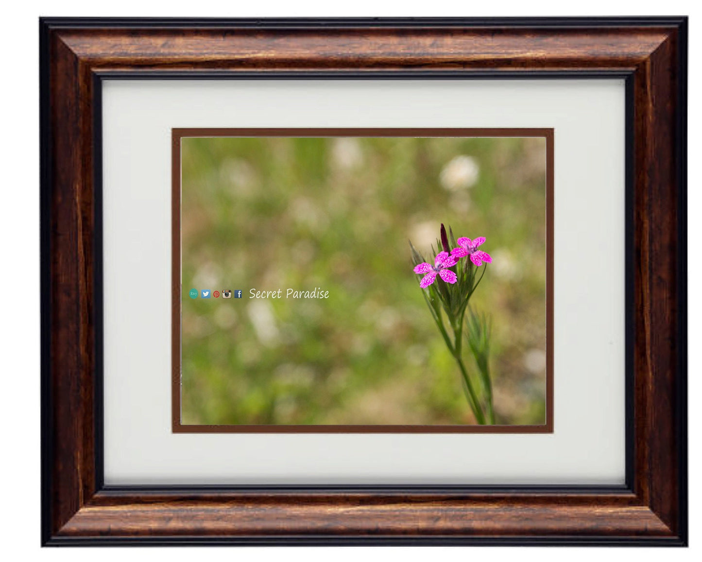 Fine Art Photography - Hardwood Wall Framed Art - Secret Paradise5