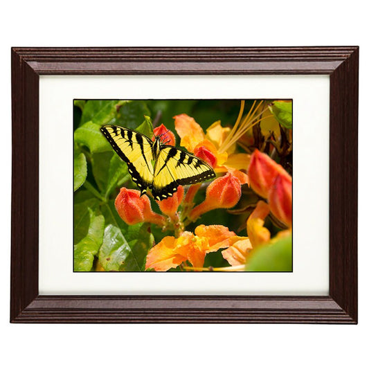 Wall Art Photography - From a Secret Paradise - Cherry Framed Art