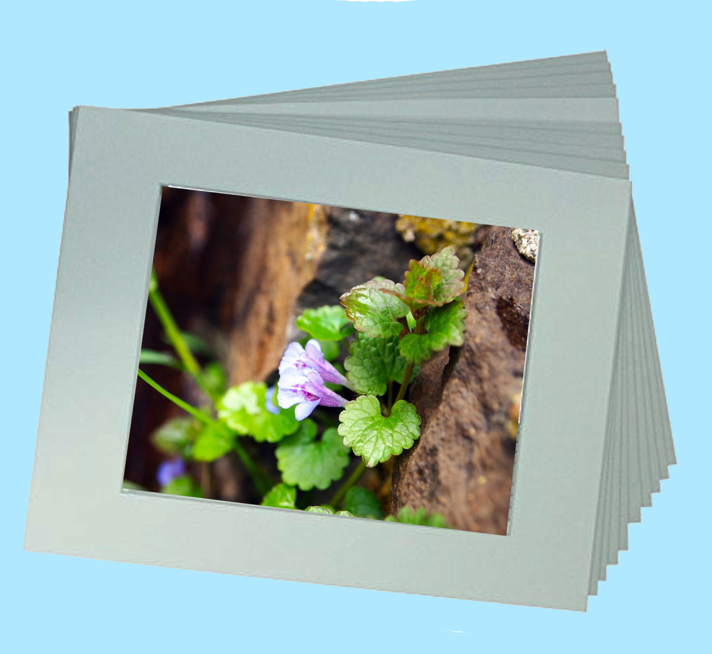 Art Prints from a Secret Paradise Shop
