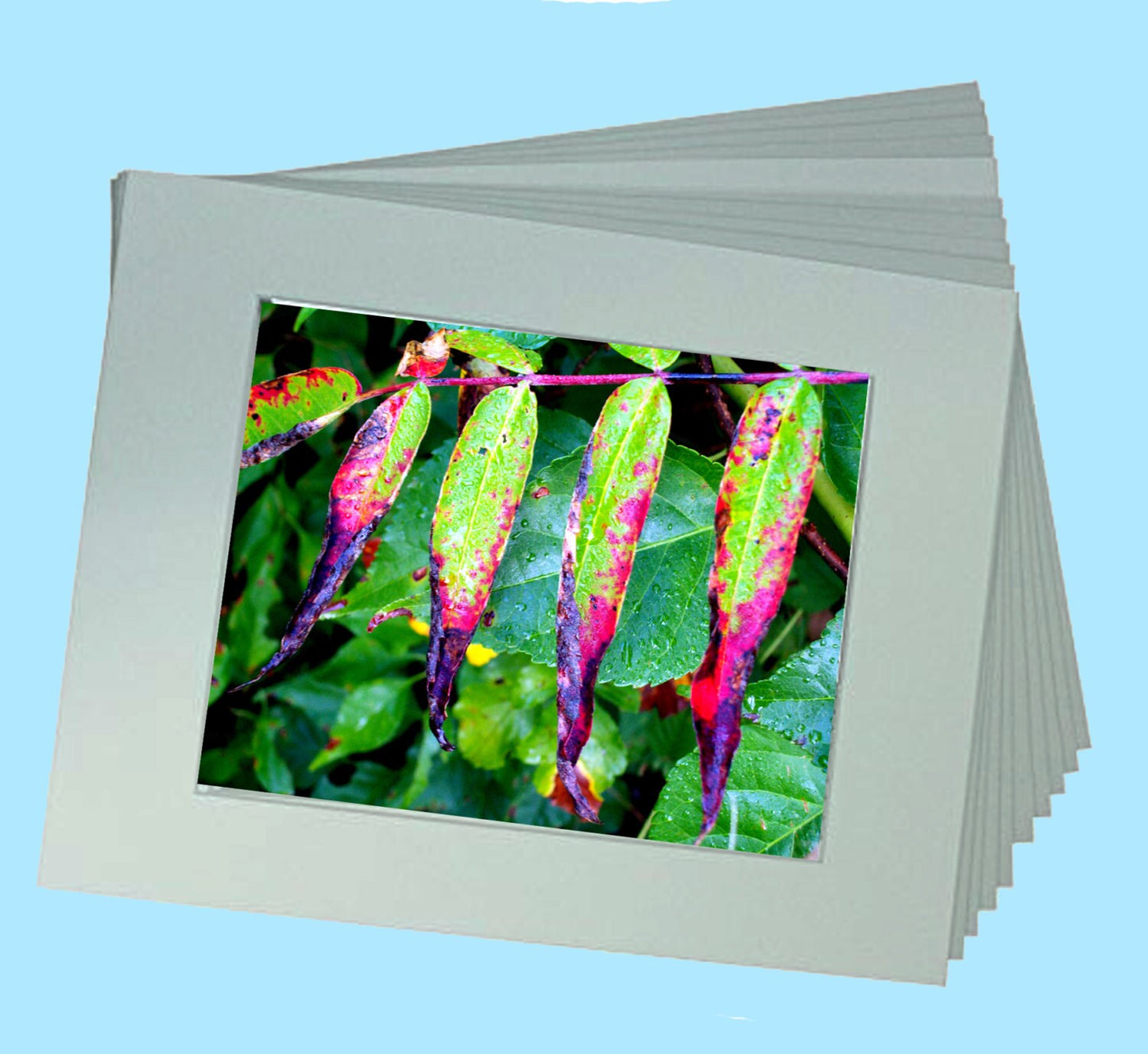 Autumn Art Prints -The Fire from a Secret Paradise Shop