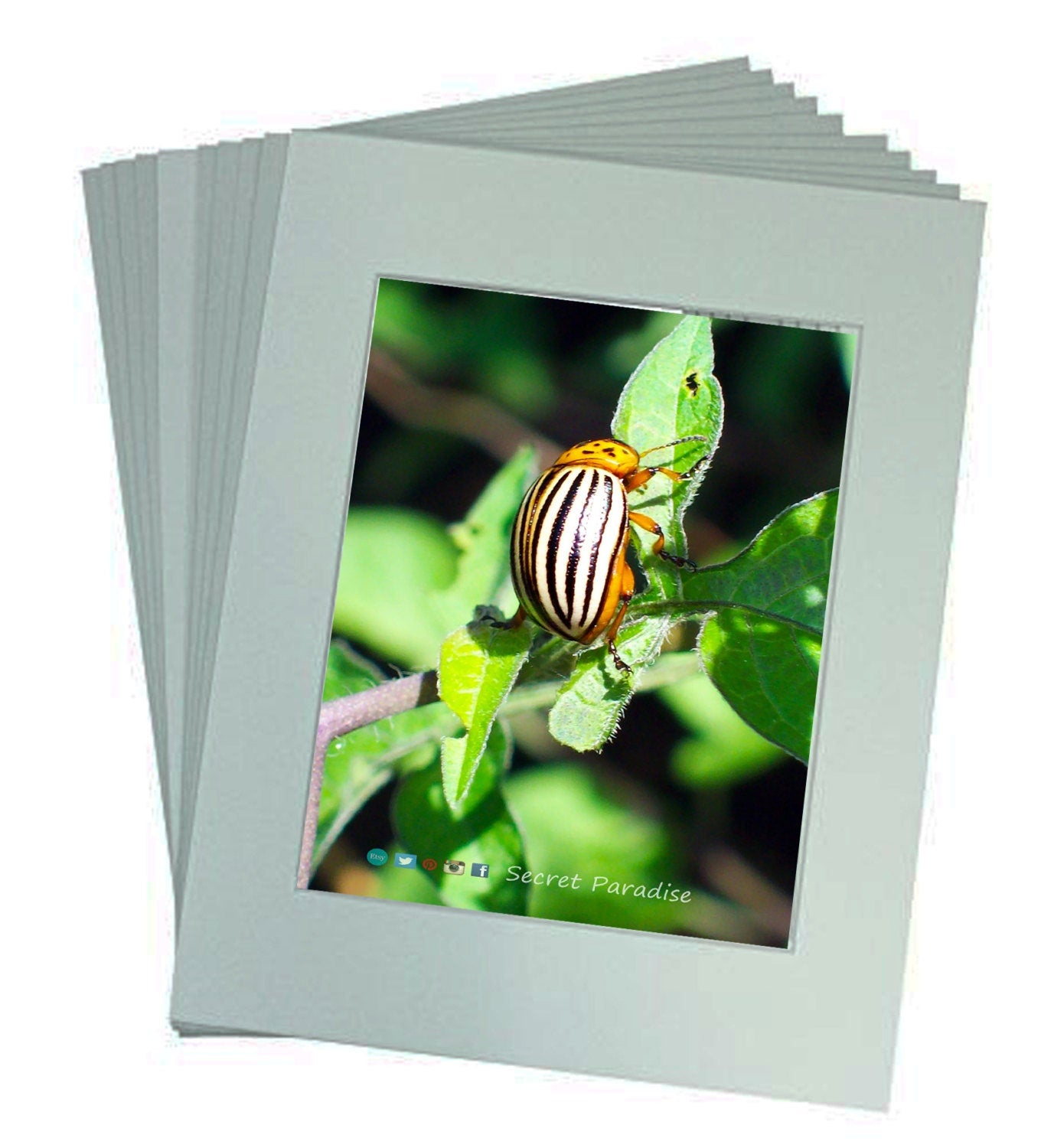Fine Art Print - Beatles are Beautiful too! - Secret Paradise Garden
