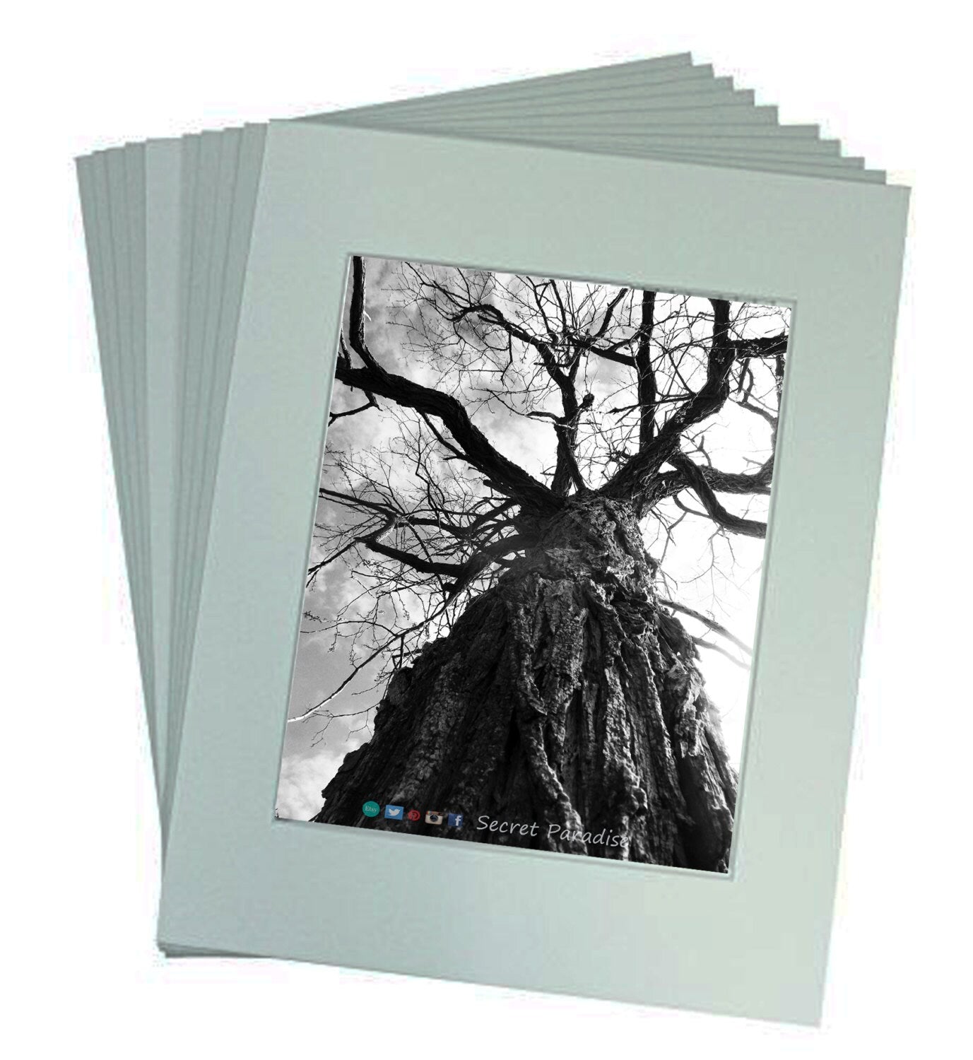 Art Prints - B&W Tree from Secret Paradise Shop