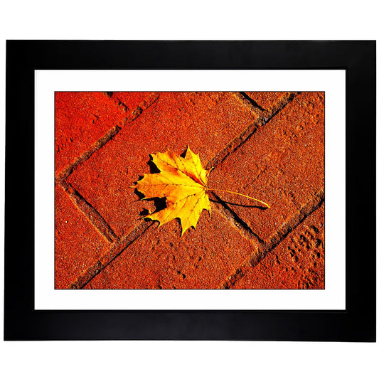 Art Prints - From a Secret Paradise - Classic Blk Wall Frames