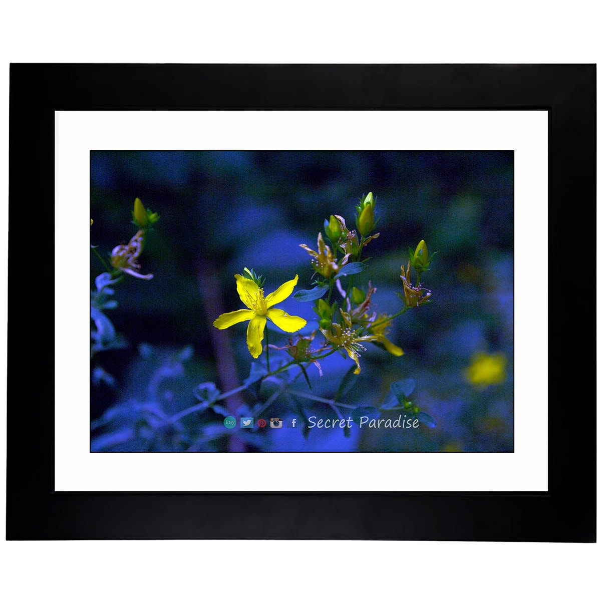 Art Prints - From a Secret Paradise - Classic Blk Wall Frames