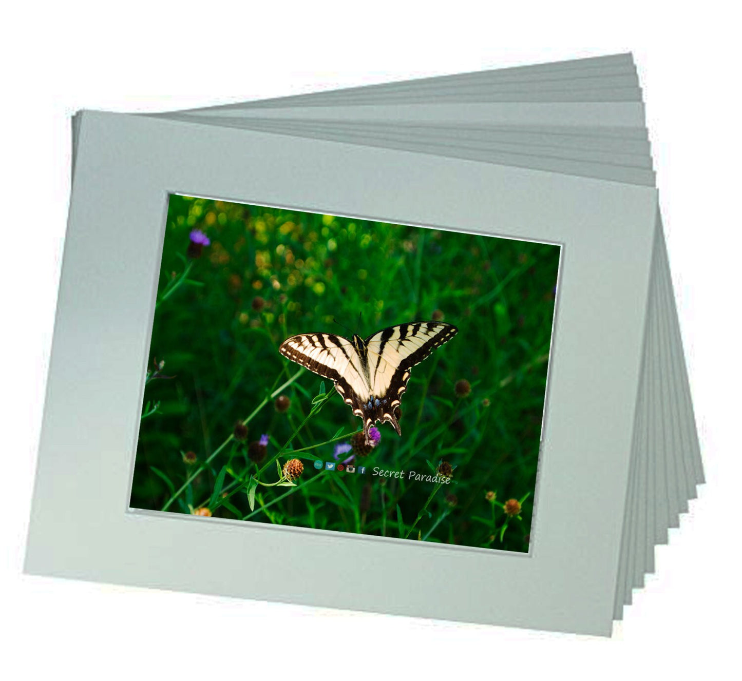 Butterfly Art Prints - "Angel Wings" Secret Paradise Garden