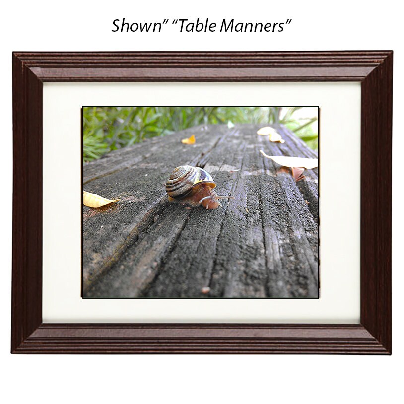 Art Photography - From a Secret Paradise - Cherry Framed Art