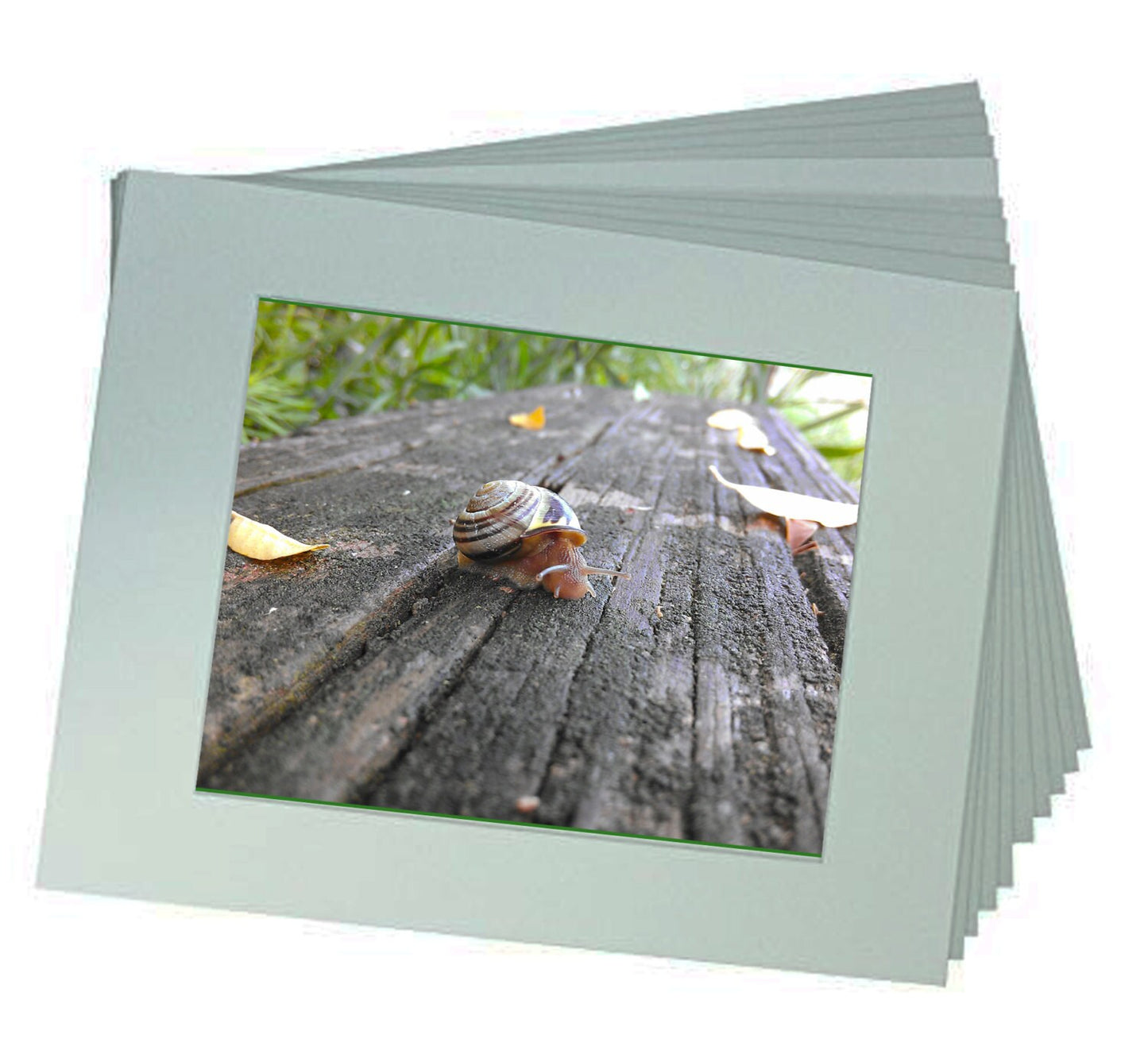Art Photography - From a Secret Paradise - Cherry Framed Art