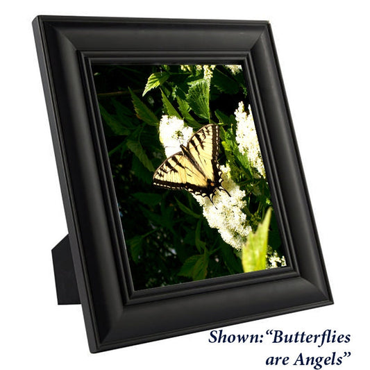 Art Print Butterfly - from a Secret Paradise - Black Wood Frames