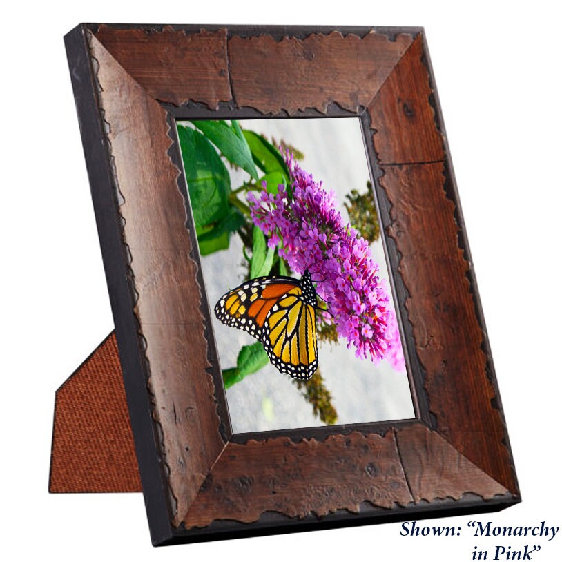 Art Prints - Butterflies from a Secret Paradise - Burl Frames