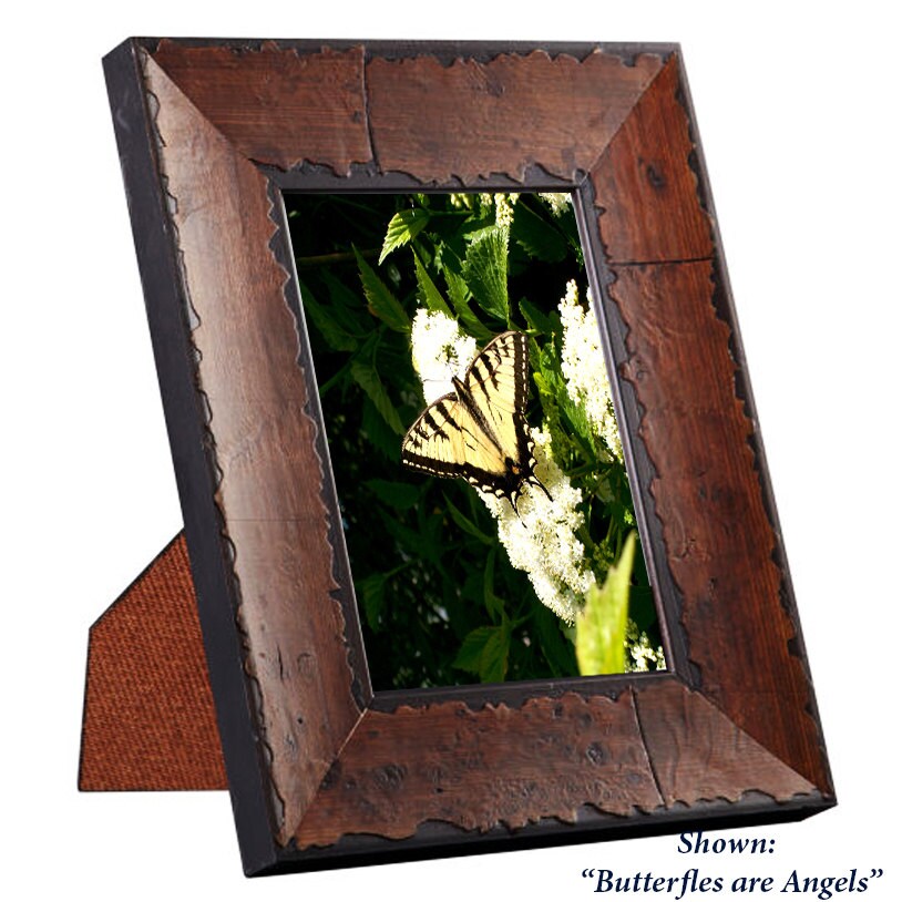 Art Prints - Butterflies from a Secret Paradise - Burl Frames