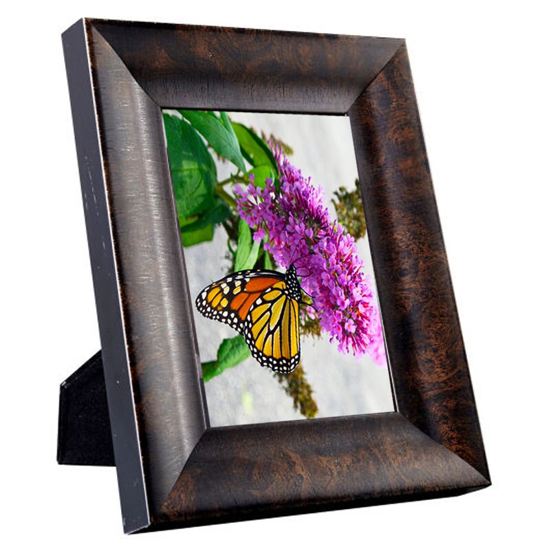 Framed Art Photography - Butterfly, a Secret Paradise - Burl Frames