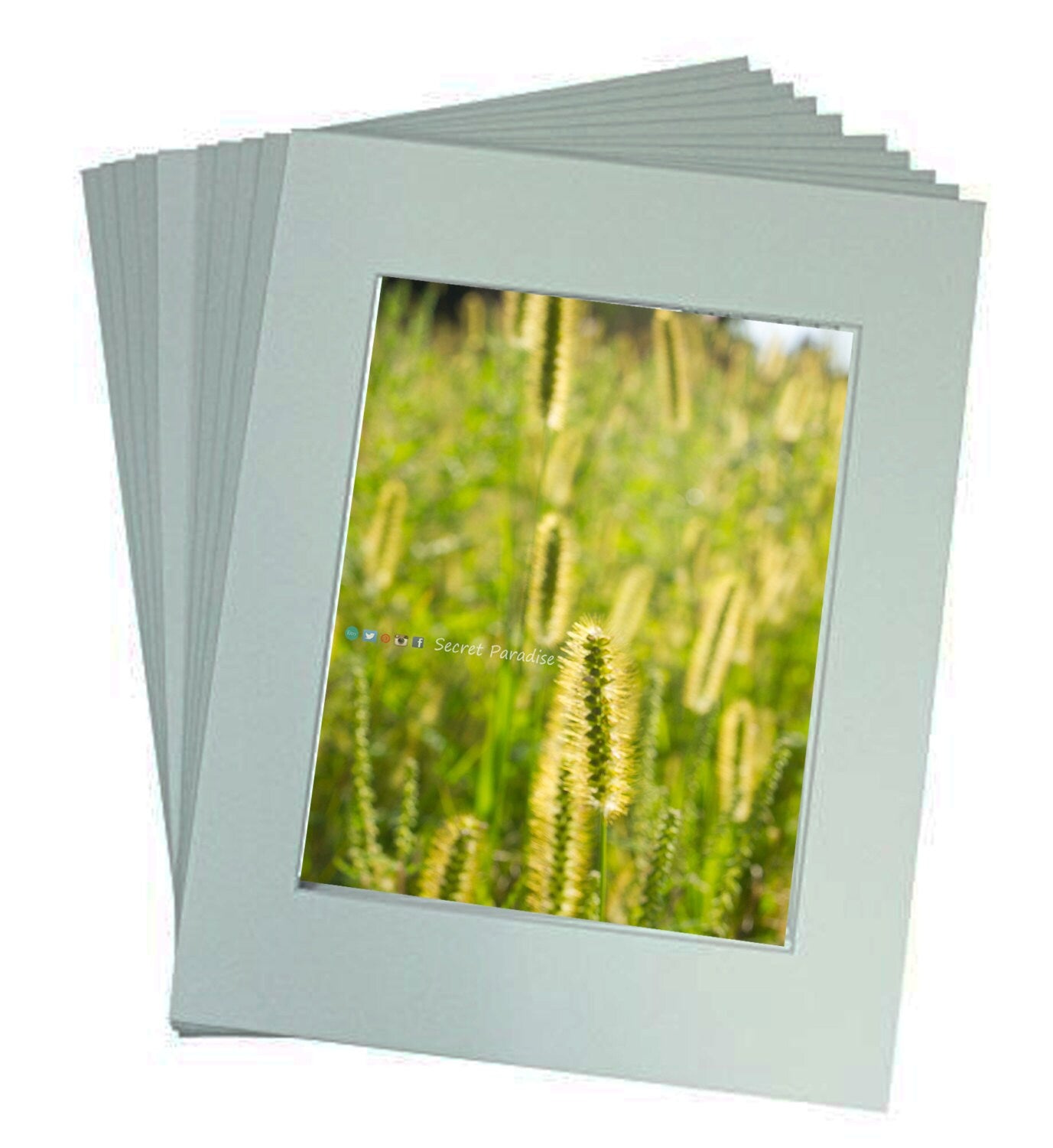 Botanical Prints from a Secret Paradise Shop