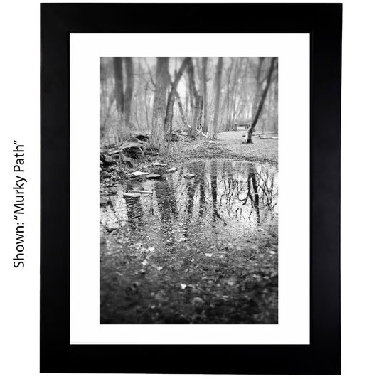 Black & White Art Photography - From a Secret Paradise - Framed Art