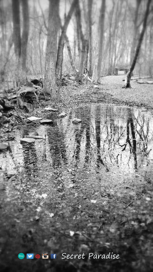 Fine Art Prints -B&W from Secret Paradise Shop