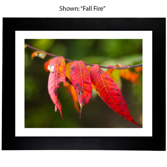 Foilage Art Prints - From a Secret Paradise - Framed Art classic black