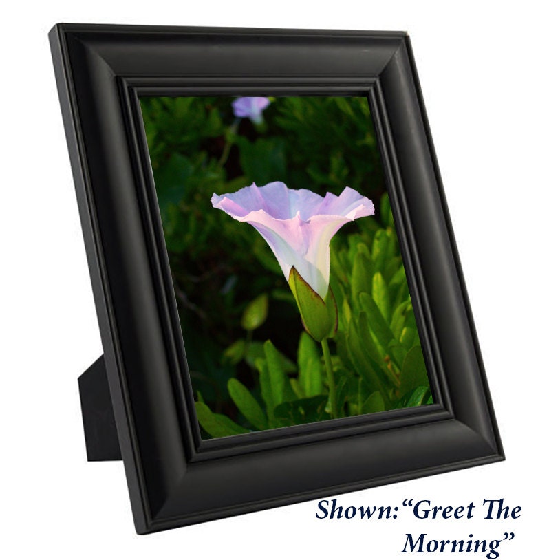 Art Print - from a Secret Paradise - Black Wood Frames