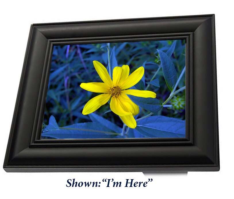 Art Print - from a Secret Paradise - Black Wood Frames