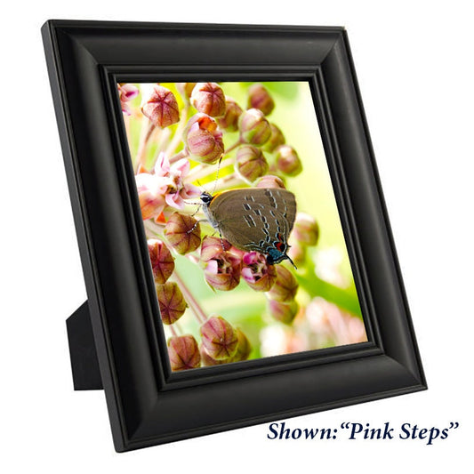 Art Print - from a Secret Paradise - Black Wood Frames