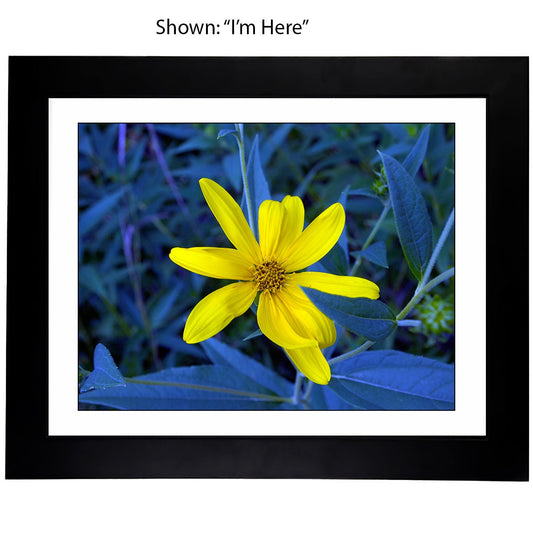 Art Prints - From a Secret Paradise - Classic Blk Wall Frames