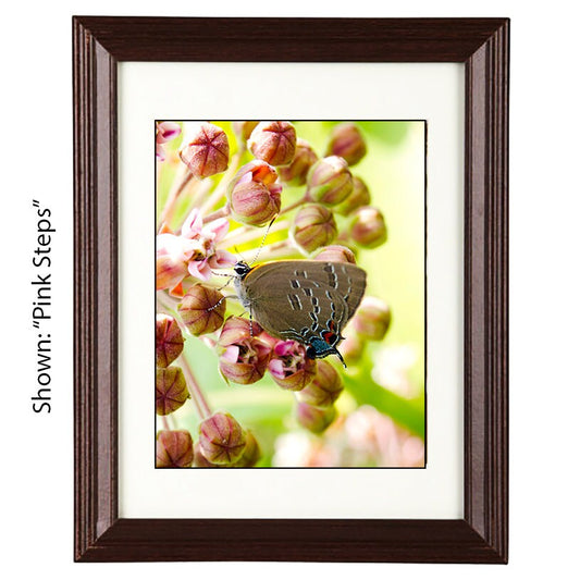 Art Prints - From a Secret Paradise - Cherry Wall Frames