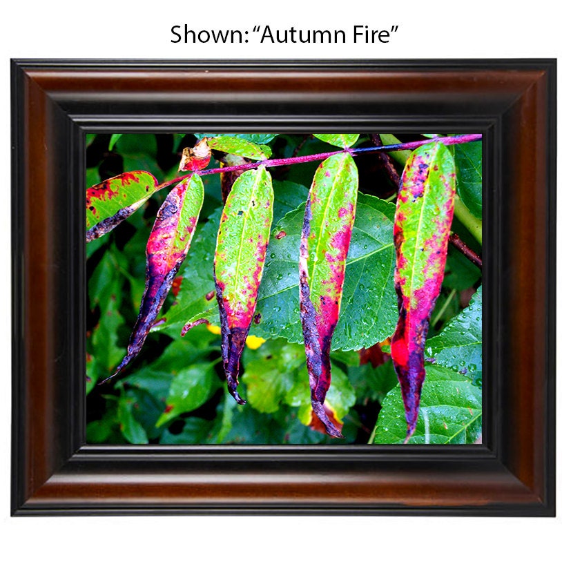 Autumn Art Prints - From a Secret Paradise - Brown Wall Frames