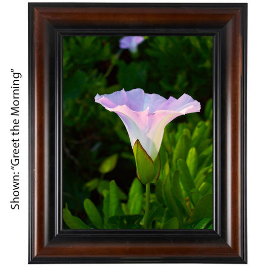 Art Prints - From a Secret Paradise - Wall Frames
