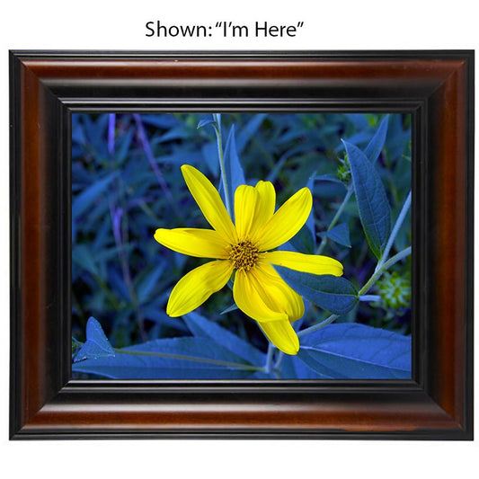 Art Prints - From a Secret Paradise - Brown Wall Frames