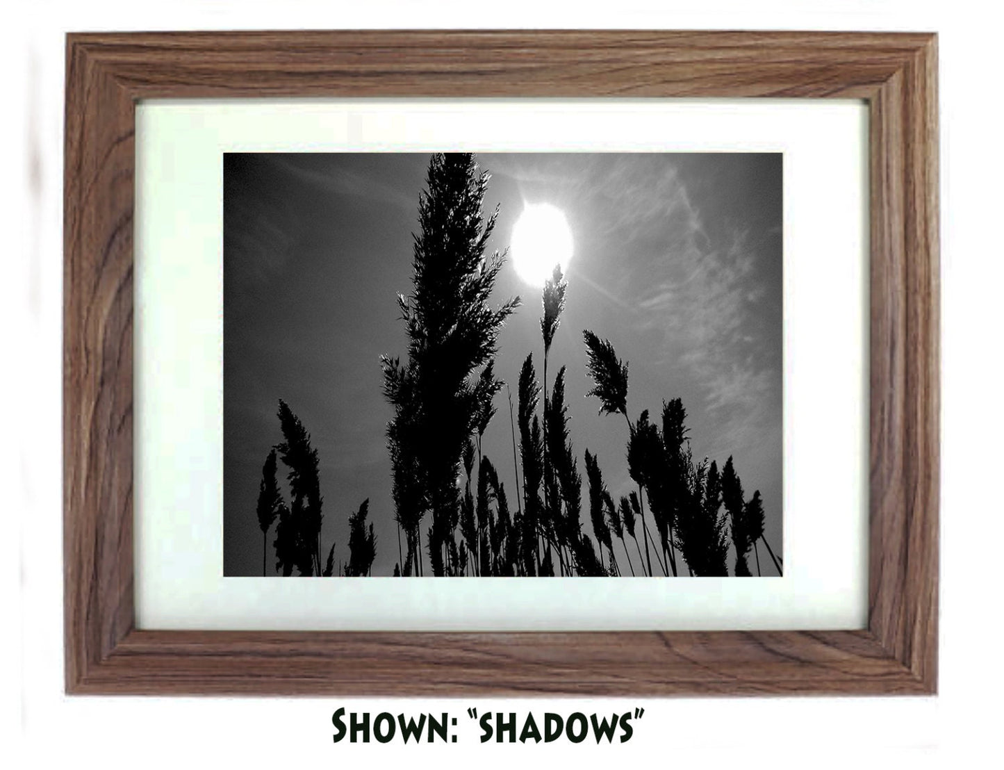 Art Prints - From a Secret Paradise - Driftwood Beach Wall Frame