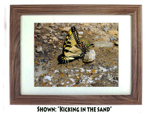 Art Prints - From a Secret Paradise - Driftwood Beach Wall Frame