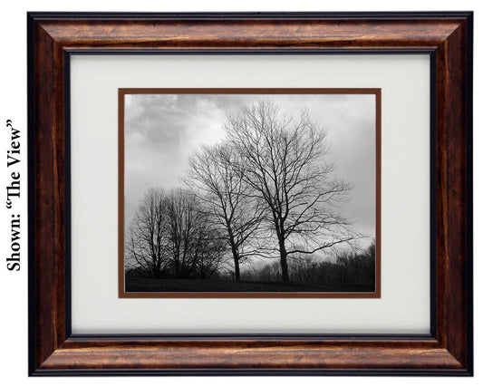 Fine Art Photography - Hardwood Wall Framed Art - Secret Paradise Trees
