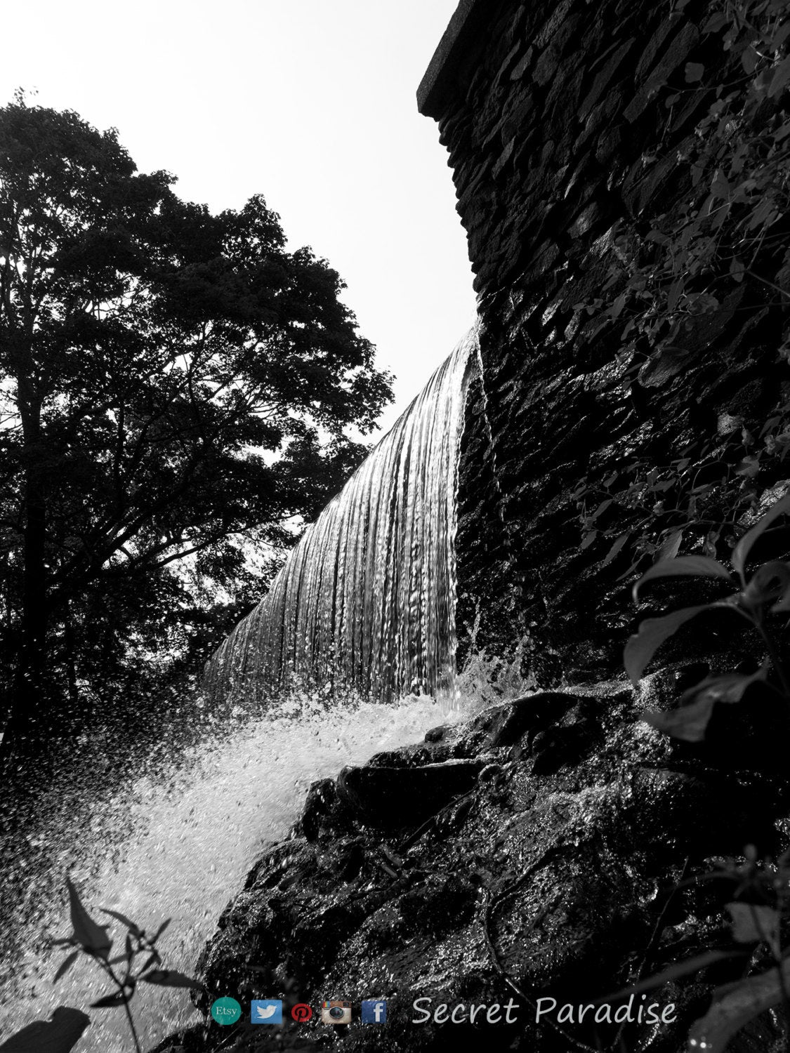 B&W Art Prints from Secret Paradise Shop