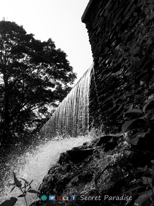 B&W Art Prints from Secret Paradise Shop