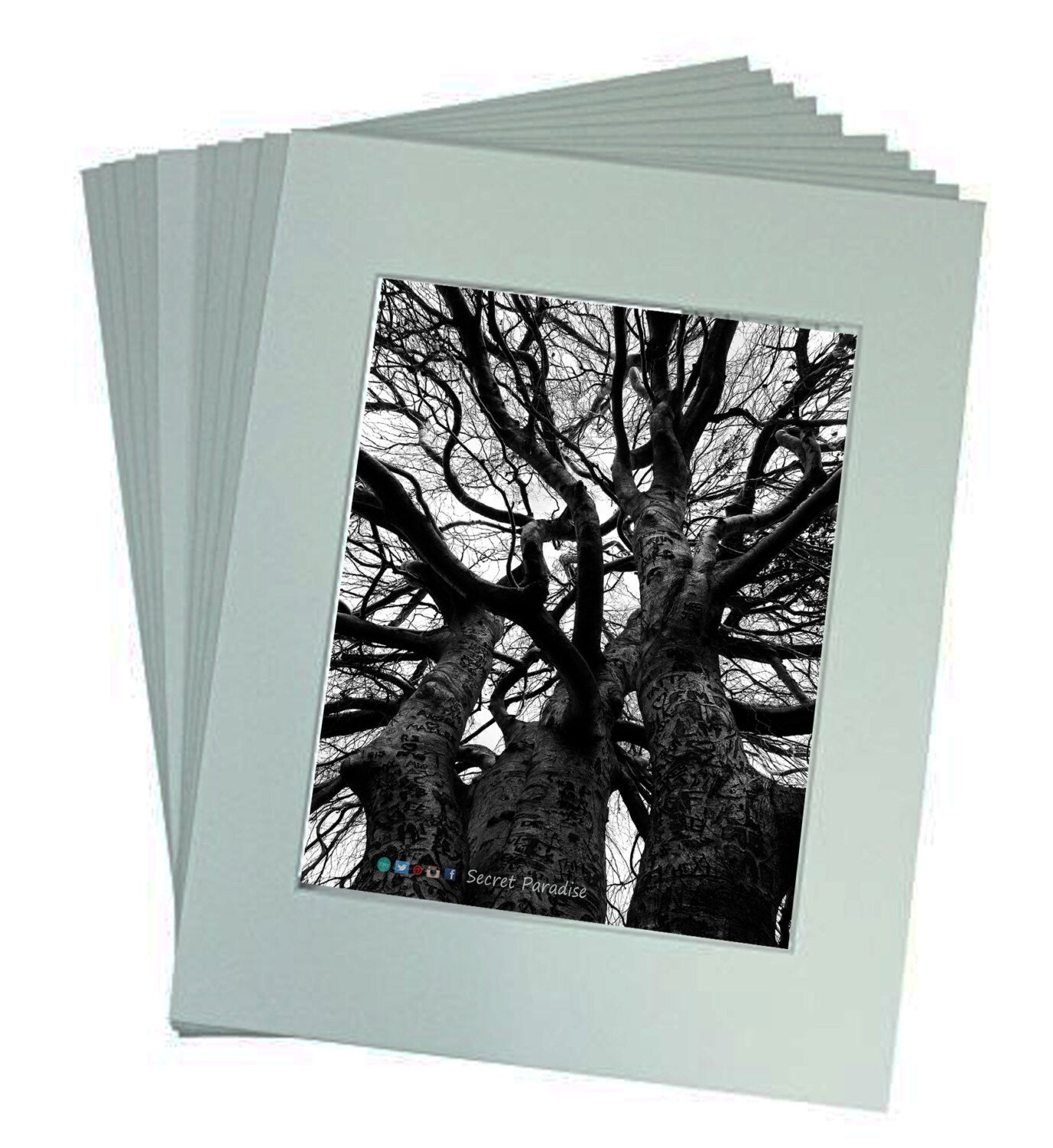 Art Prints -B&W Threesome Trees from a Secret Paradise Shop