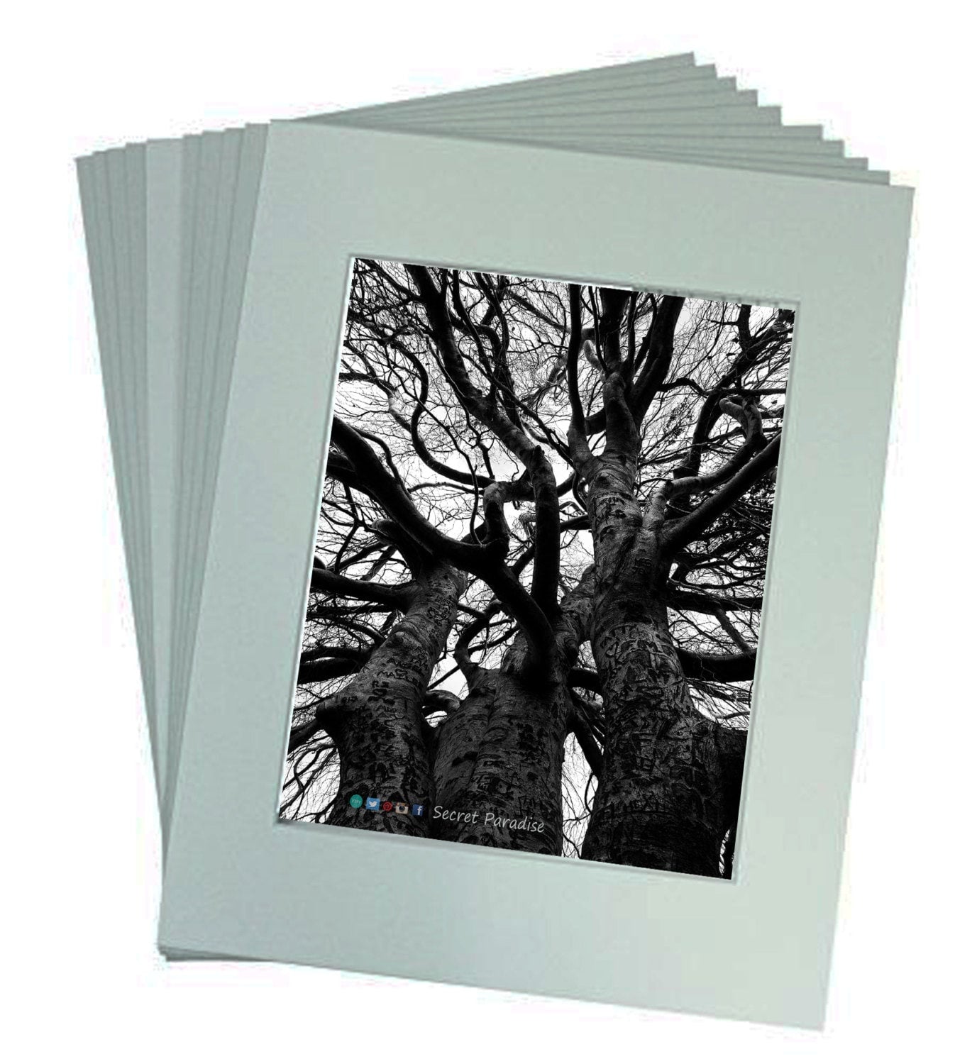 Art Prints -B&W Threesome Trees from a Secret Paradise Shop
