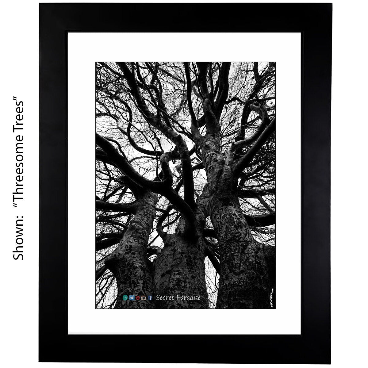 Black & White Art Photography - From a Secret Paradise - Framed Art
