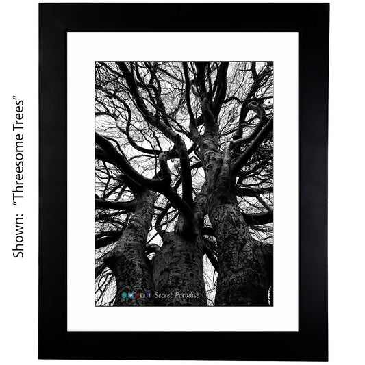 Black & White Art Photography - From a Secret Paradise - Framed Art