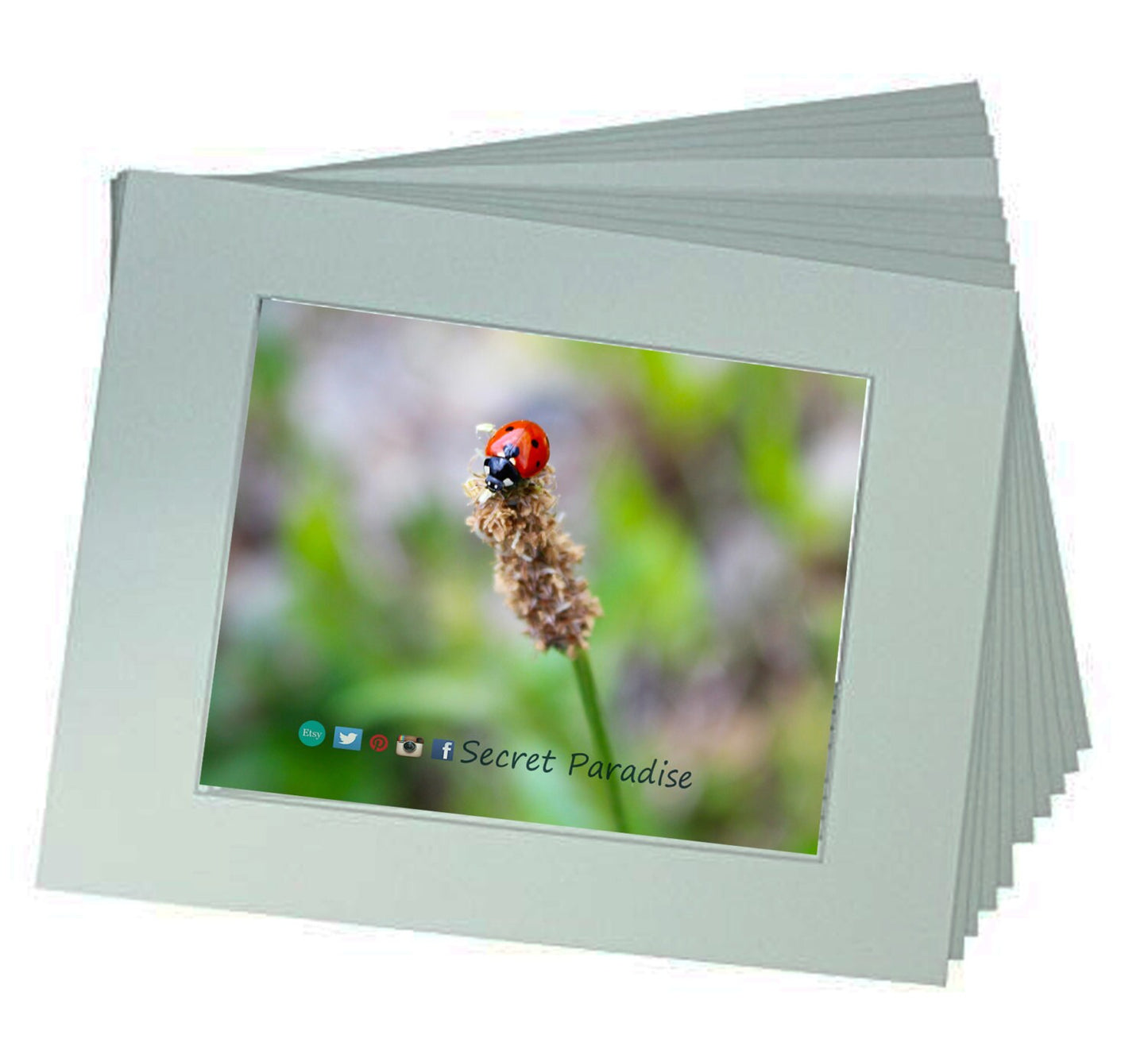 Art Prints from a Secret Paradise Garden