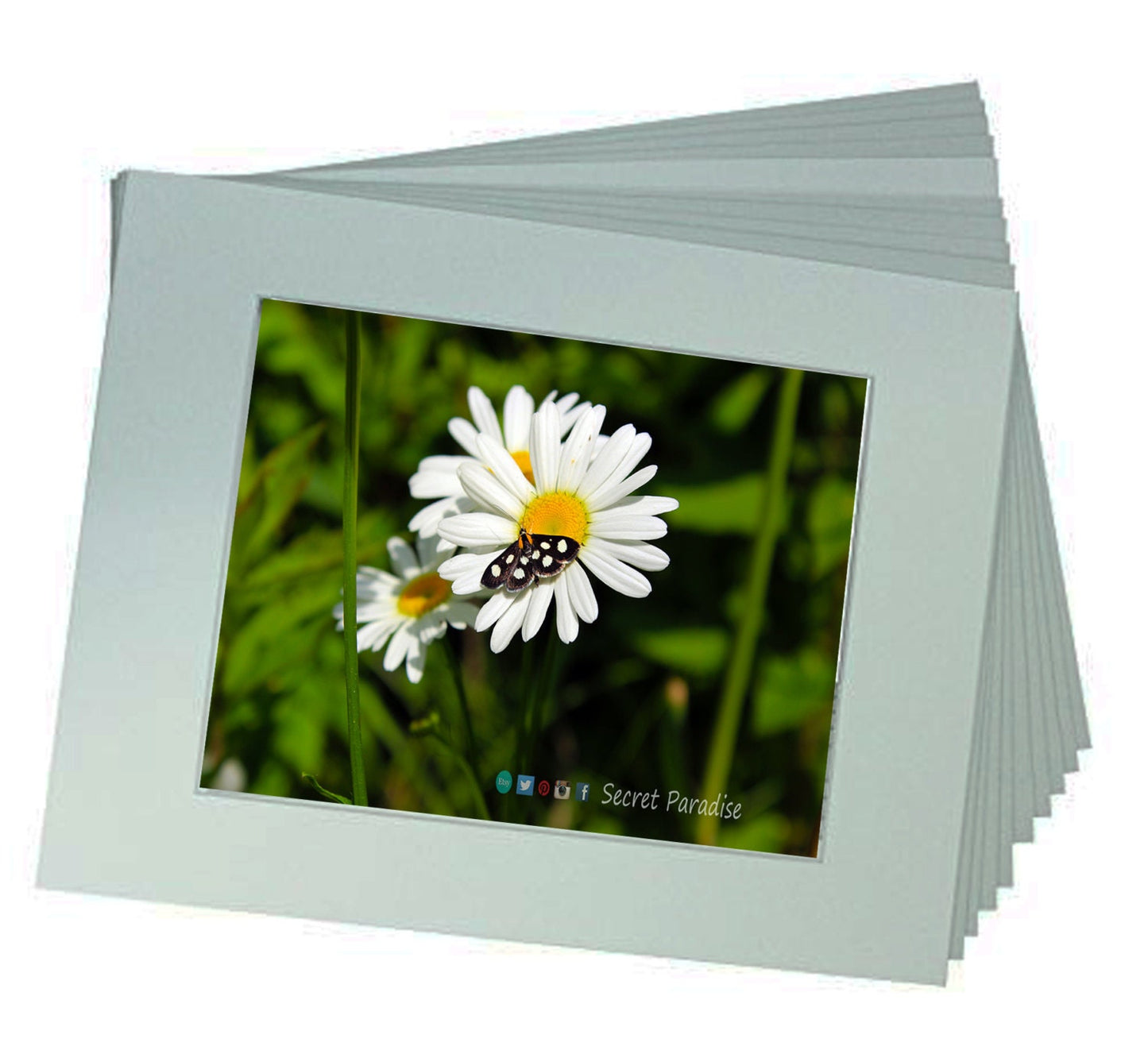 Wall Art Photography - From a Secret Paradise - Cherry Framed Art