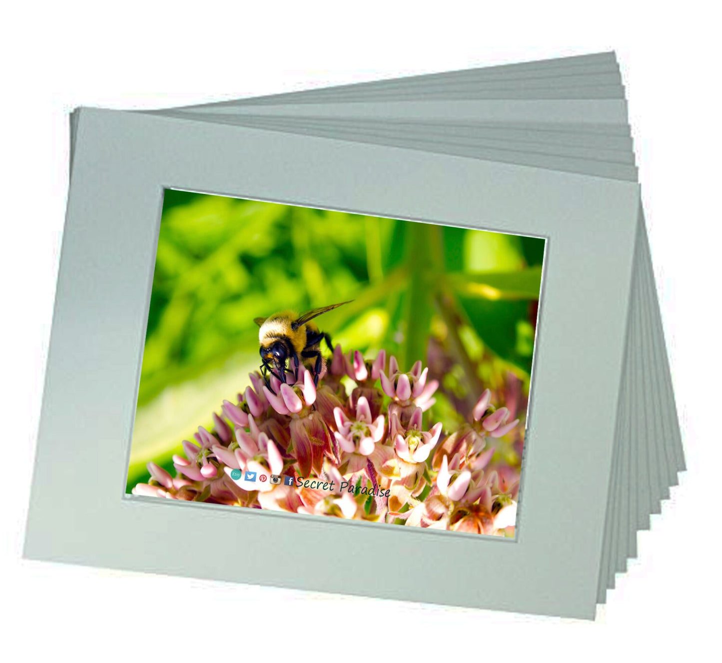 Fine Art Prints from a Secret Paradise Garden