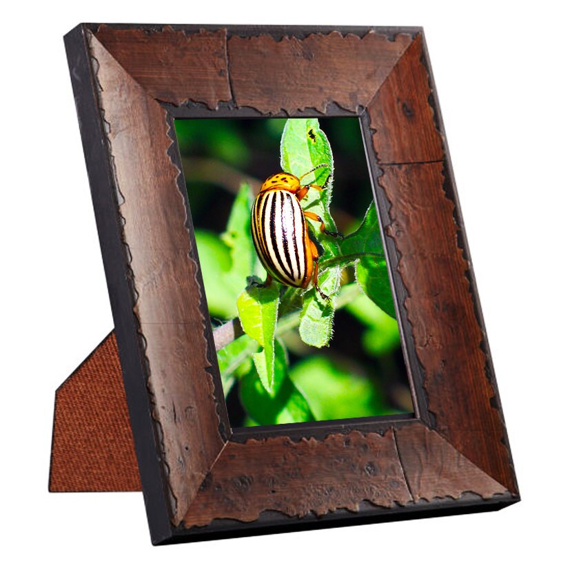 Art Prints - From a Secret Paradise - Burl Frames