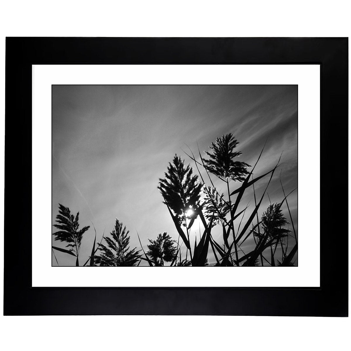 Art Prints -B&W from Secret Paradise Shop1