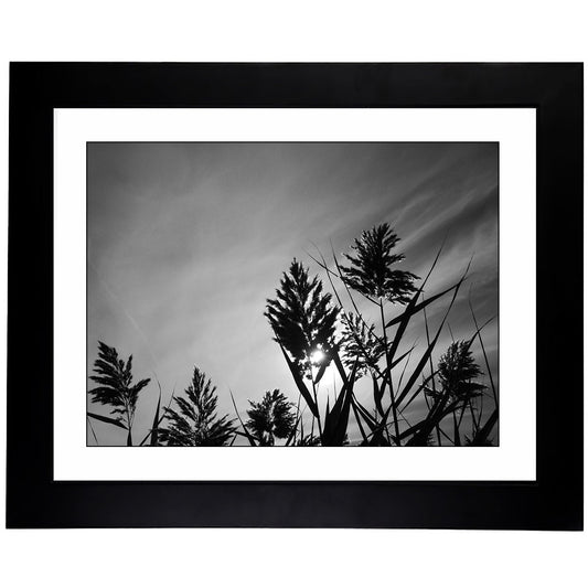 Art Prints -B&W from Secret Paradise Shop1