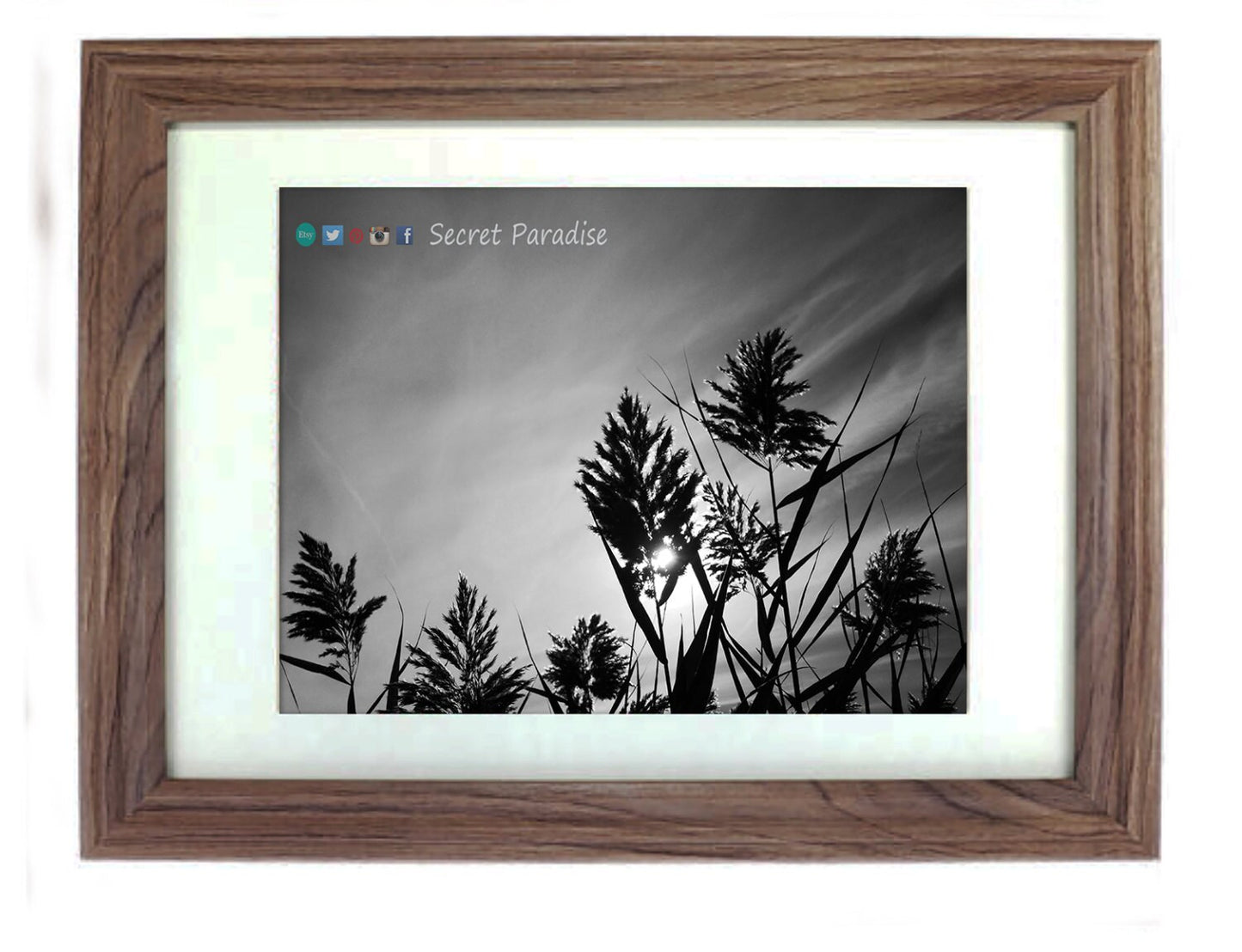 Cape Cod Prints - From a Secret Paradise - Driftwood Beach Wall Frame