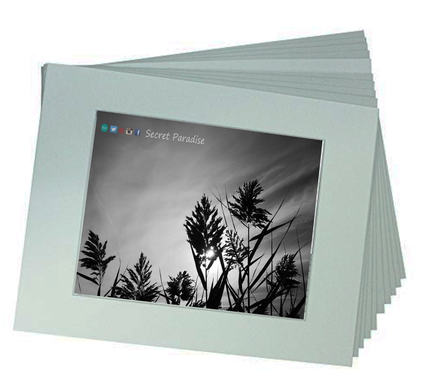 Cape Cod Prints - From a Secret Paradise - Driftwood Beach Wall Frame