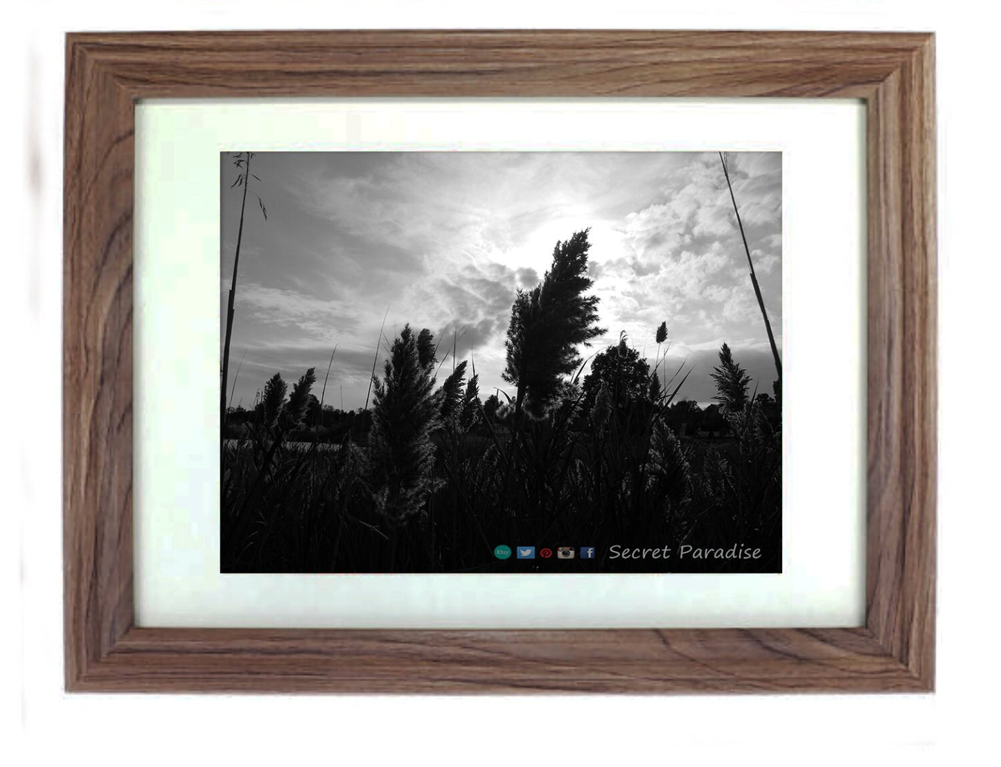 Cape Cod Prints - From a Secret Paradise - Driftwood Beach Wall Frame