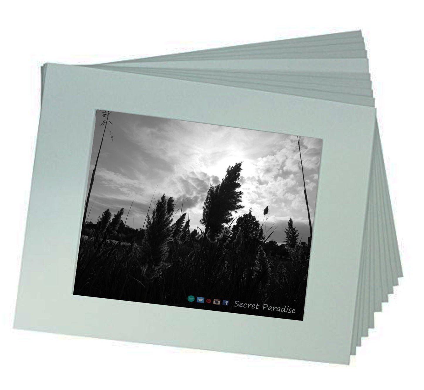 Cape Cod Prints - From a Secret Paradise - Driftwood Beach Wall Frame