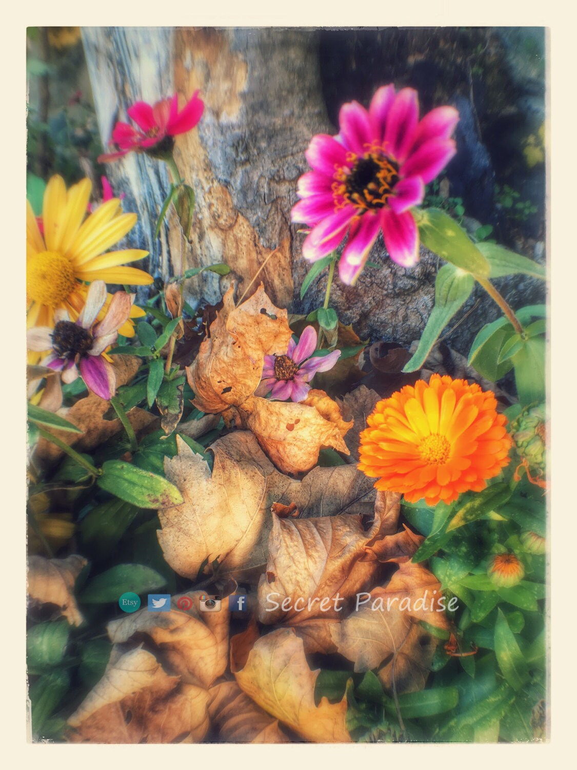 ART Print! Secret Paradise Garden