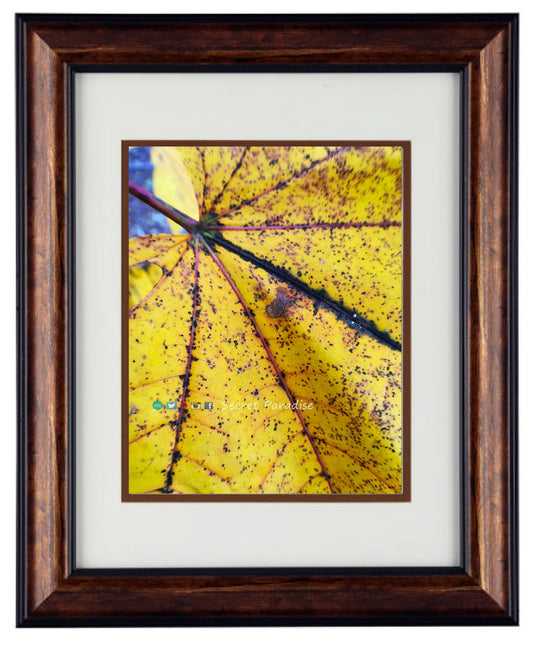 Fine Art Photography - Hardwood Framed Wall Art - at Secret Paradise