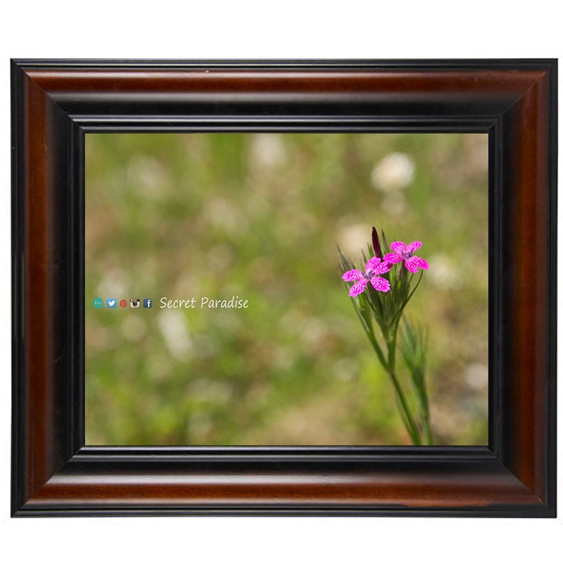 Photography Art- From a Secret Paradise - Cherry Framed Art - The Babies