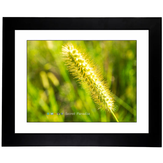 Art Prints - From a Secret Paradise - Classic Blk Wall Frames
